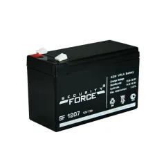 SF 1207 Security Force