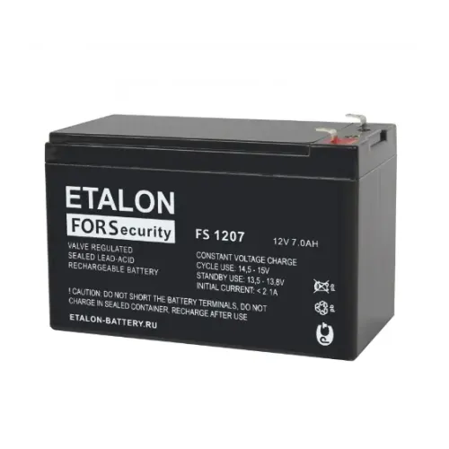 FS 1207 ETALON