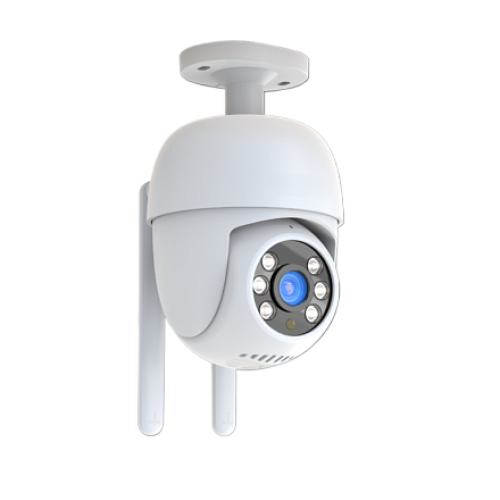 -C4SL (Сипуха)