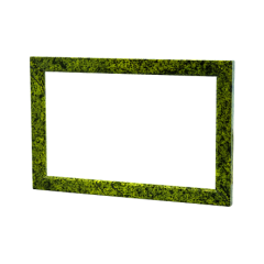 ЗМЕЕВИК СВЕТЛЫЙ