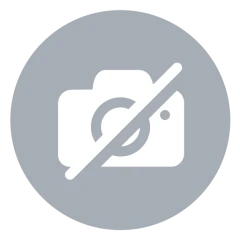 -C4BL (Коршун)