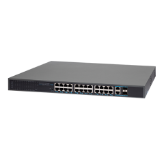 AT-NS-24GP2G-2GS-450 (B)